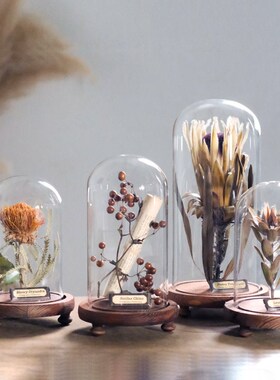 样板间轻奢植物标本装饰品玻璃罩摆件书房精N油花艺中草药复古简