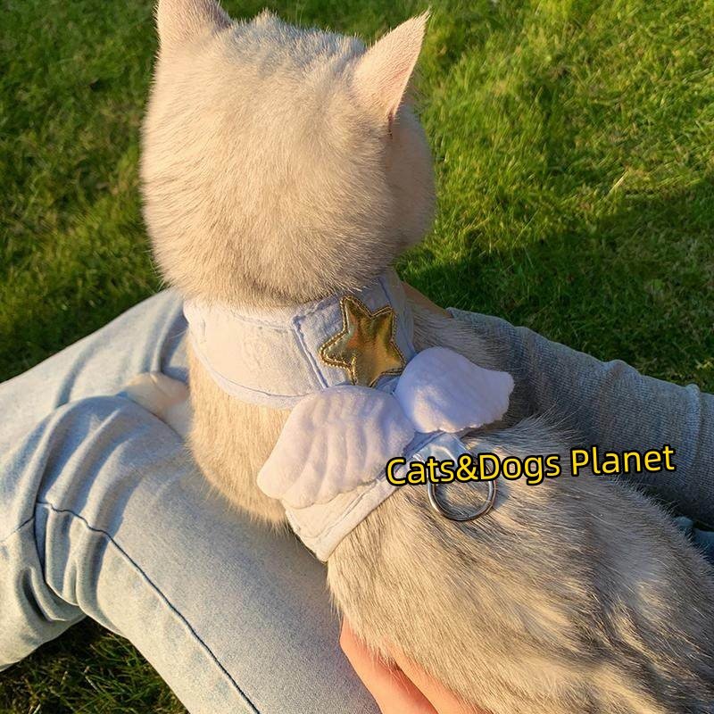宠物猫咪粉色星星翅膀猫牵引绳狗狗可爱装饰猫咪项圈式牵引带宠物,淘宝优惠券,粉丝福利购,淘宝优惠卷