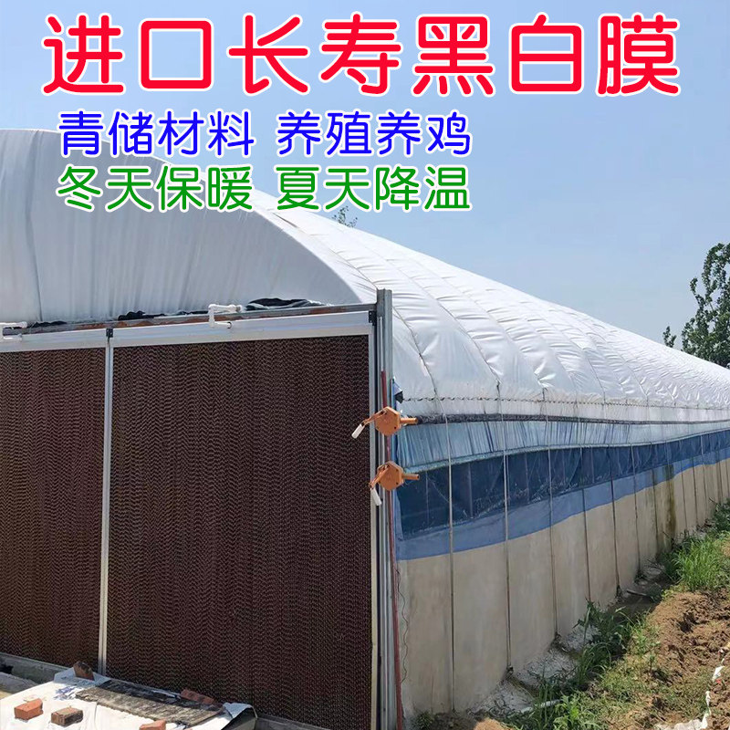 进口高透光消雾po膜塑料薄膜无滴蔬菜大棚膜绿白膜青储加厚黑白膜