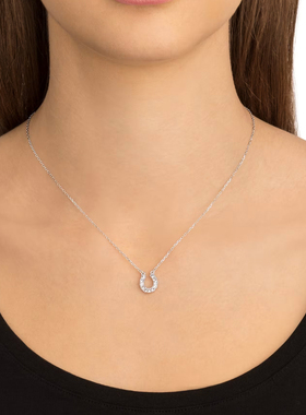 施华洛世奇Towards 马蹄铁项链高级感小众轻奢配饰女长款吊坠