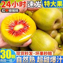 Sichuan Pujiang Red Hearts Goosebumps 30 Kiwifruit Pregnant Women Fruits Fresh Great Fruits When Season Should Season The Whole Box