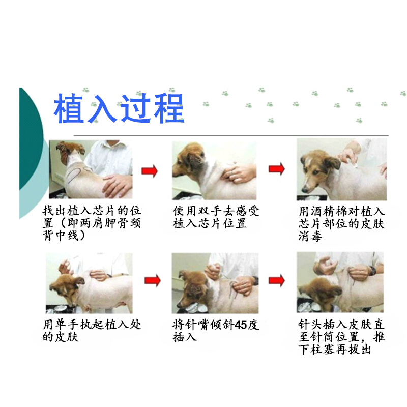 出国欧洲美洲宠物狗芯片植入玻璃管动物芯片FDX-B猫狗牛羊芯片-图2