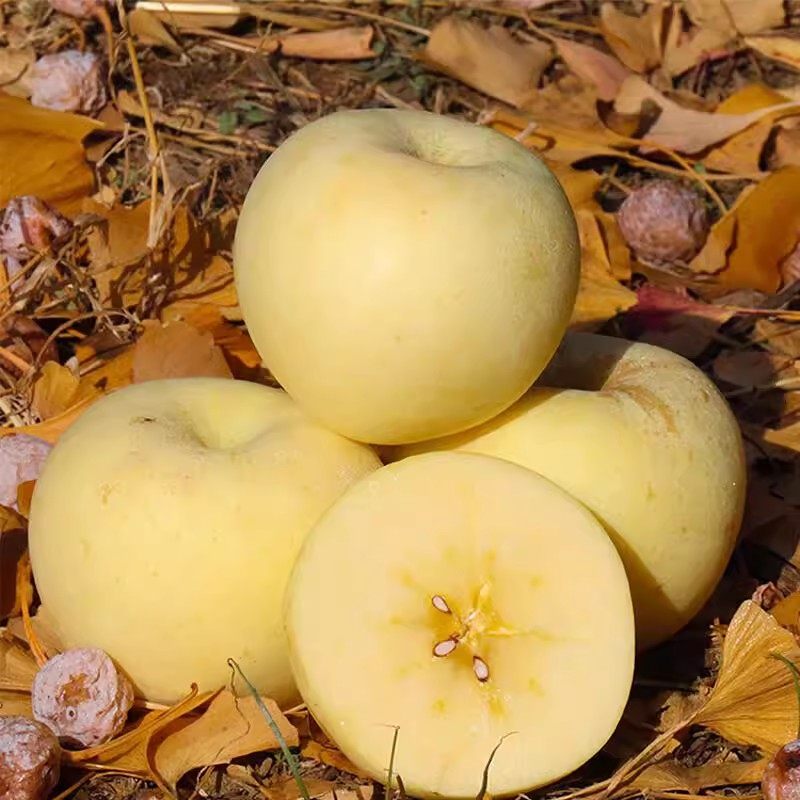 奶油富士苹果3斤装黄金奶油富士脆甜多汁新鲜水果当季整箱lx,淘宝优惠券,粉丝福利购,淘宝优惠卷