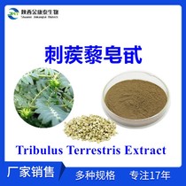 Thorn caltrop Quinosatin 90% Thorn caltrop extract Tribulus Tribulus Tribulus Terrestris Terrestris PE 