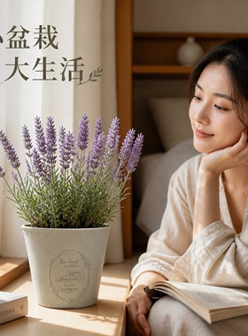 优伲嘉法式高颜值大口径深花盆