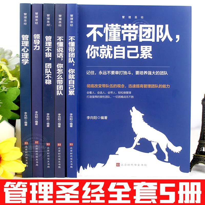 正版 企业经营管理书籍全5册 企业管理成功法则不懂说话怎么带团队不懂带团队你就自己累管理不狠团队不稳领导力管理心理学高情商