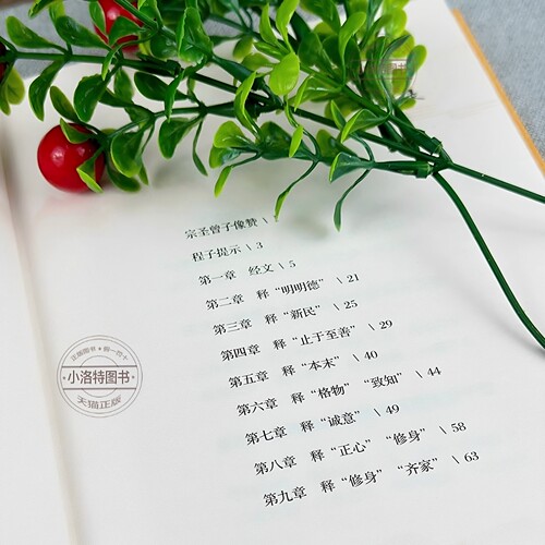 官方正版 大学 四书之一儒家文化核心经典中国传统文化经典荟萃文白对照大学全编大学中庸四书五经中国历史类书儒家经典传统文化书 - 图1