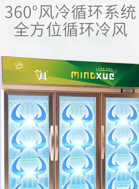 铭雪风冷饮料柜展示柜鲜花保鲜柜超市酒店商用冷饮啤酒柜鲜奶冰柜