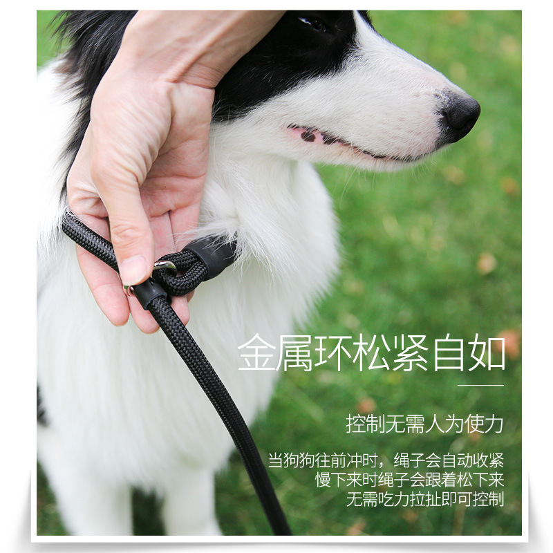 狗绳大型犬可调节防咬断小套脖子p链金毛专用拉布拉多萨摩耶边牧-图0