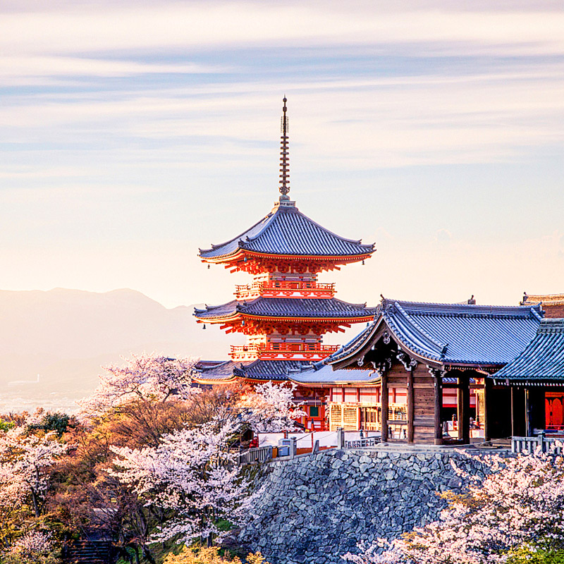 日本旅游东京大阪6天5晚跟团游纯玩京都奈良富士山樱花季含机票 - 图3