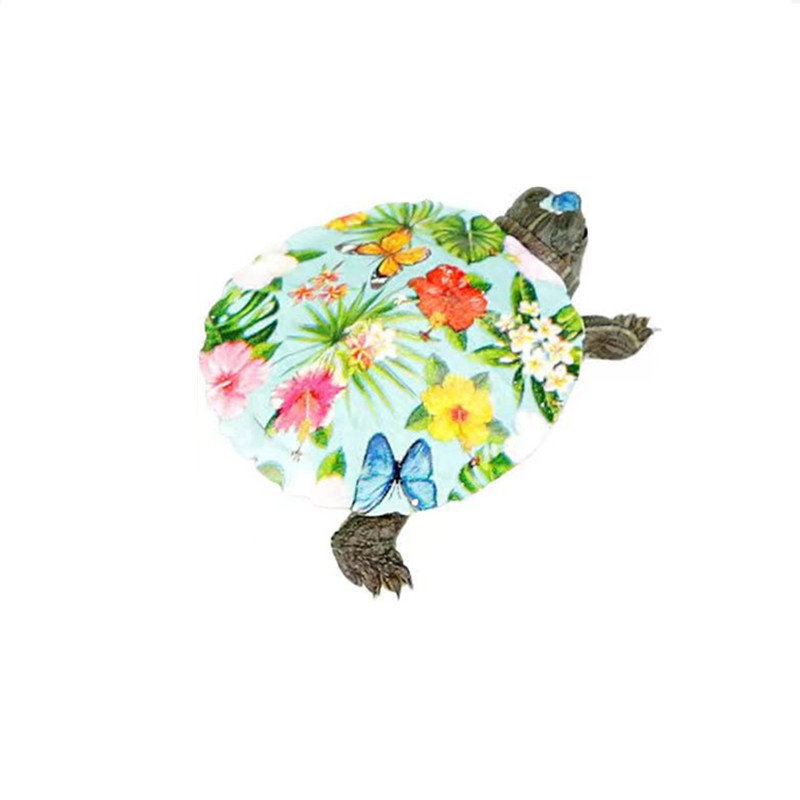 七彩小乌龟活物小彩龟宠物活体巴西龟炫彩乌龟工厂直销卡通观赏龟,淘宝优惠券,粉丝福利购,淘宝优惠卷