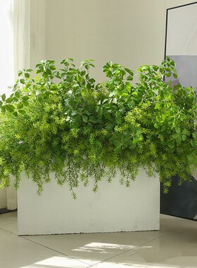 极速高仿真手e感狼尾蕨绿色波斯蕨叶肾蕨软胶植物餐厅墙面花槽插