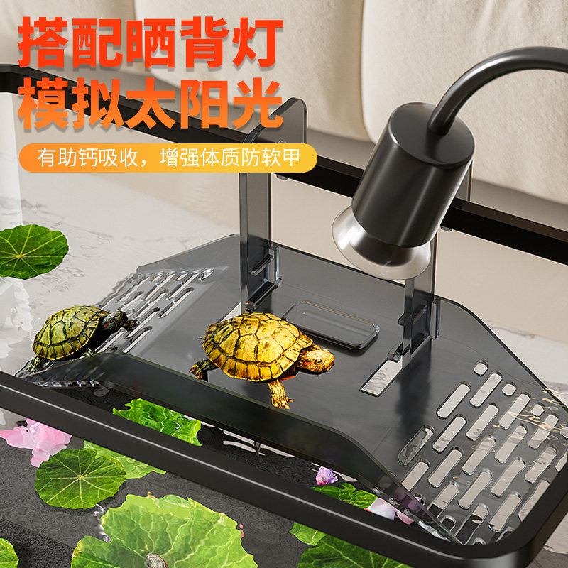 乌龟饲养缸家用小型客厅2026新款生态升降爬台鱼缸过滤制氧一体机,淘宝优惠券,粉丝福利购,淘宝优惠卷