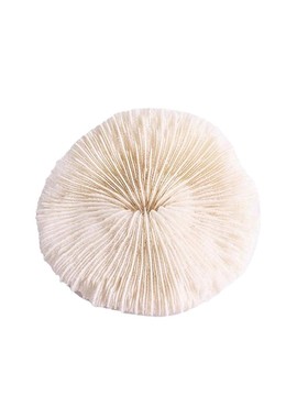 梳妆台摆件高级感轻奢风样板间中古衣帽间装饰品软装陈列氛围感