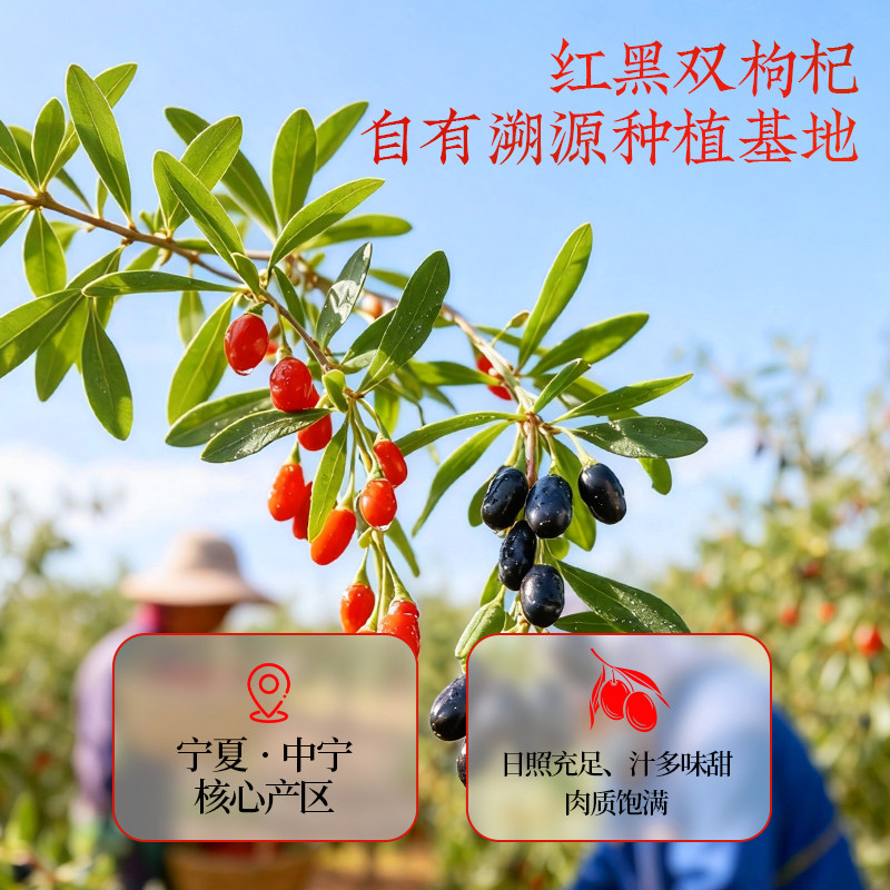 轻上人参红黑枸杞汁长白山人参宁夏红黑枸杞复合果蔬汁饮品熬夜选