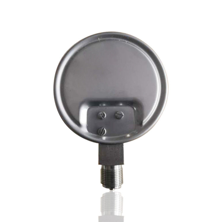 全钢膜盒压力表正负压膜盒微压表径向316低压YEB-100 -3~3KPA厂销,淘宝优惠券,粉丝福利购,淘宝优惠卷