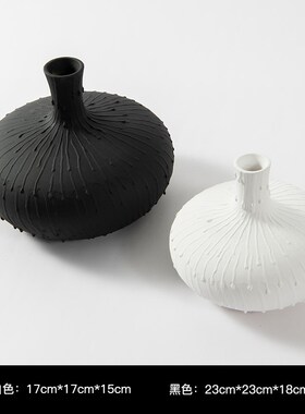极简陶瓷花瓶白色侘寂风摆件v民宿黑白色状家居装饰品简约花插花