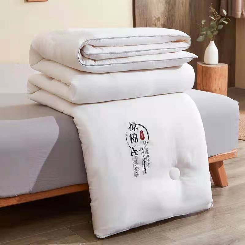 极速大豆纤维被子棉被冬被加x厚保暖被芯春秋冬季被褥四季通用单,淘宝优惠券,粉丝福利购,淘宝优惠卷