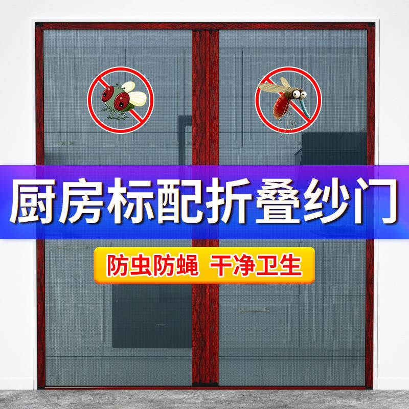 隐形纱门伸缩推拉式房门防蚊透风铝合金纱窗网隔断帘低轨移动门帘 - 图0