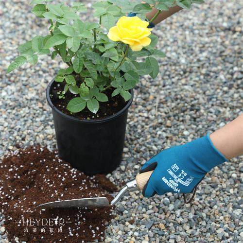 海蒂的花园手套多给力园艺加厚耐磨防滑花卉盆栽种植防刺防水防寒,淘宝优惠券,粉丝福利购,淘宝优惠卷