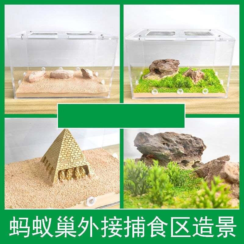 新款高档蚂蚁生态箱超大城堡垒工坊园窝巢观小型家庄察看亚克透力 - 图3