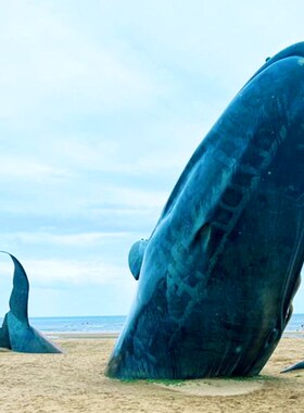 铸铜仿真动物雕塑玻璃钢鲸鱼摆件户外大型城市海T边景区景观小品