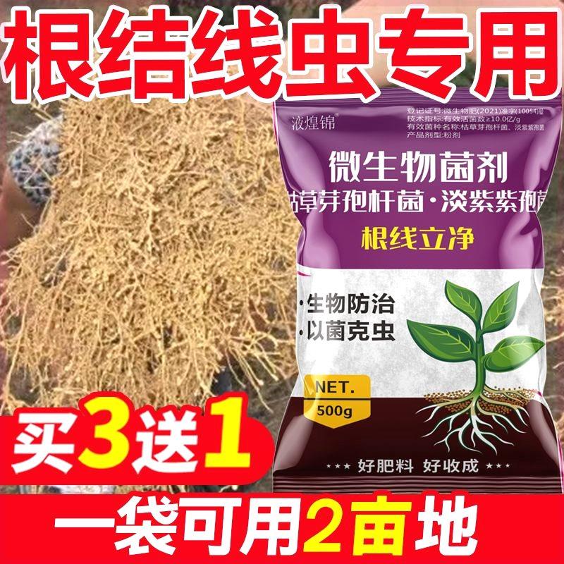 根结菜线虫专用药果树蔬小辣椒麦水克橘稻柑棚大根线虫特效线虫星 - 图0