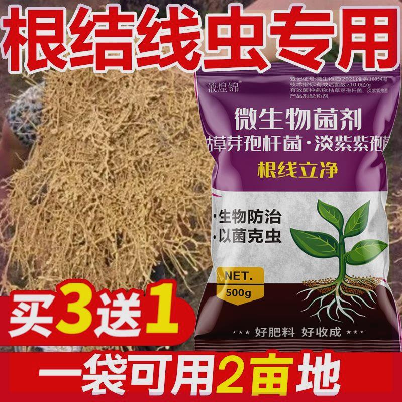 根结菜线虫专用药果树蔬小辣椒麦水克橘稻柑棚大根线虫特效线虫星 - 图2