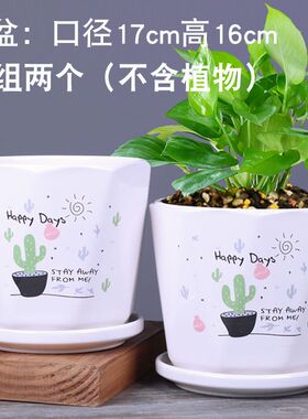 新疆包邮大号花盆陶瓷带