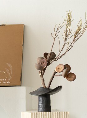 新品澳洲进口h板球荣桦轻奢花材软装陈设家居个性插花真花哈克木