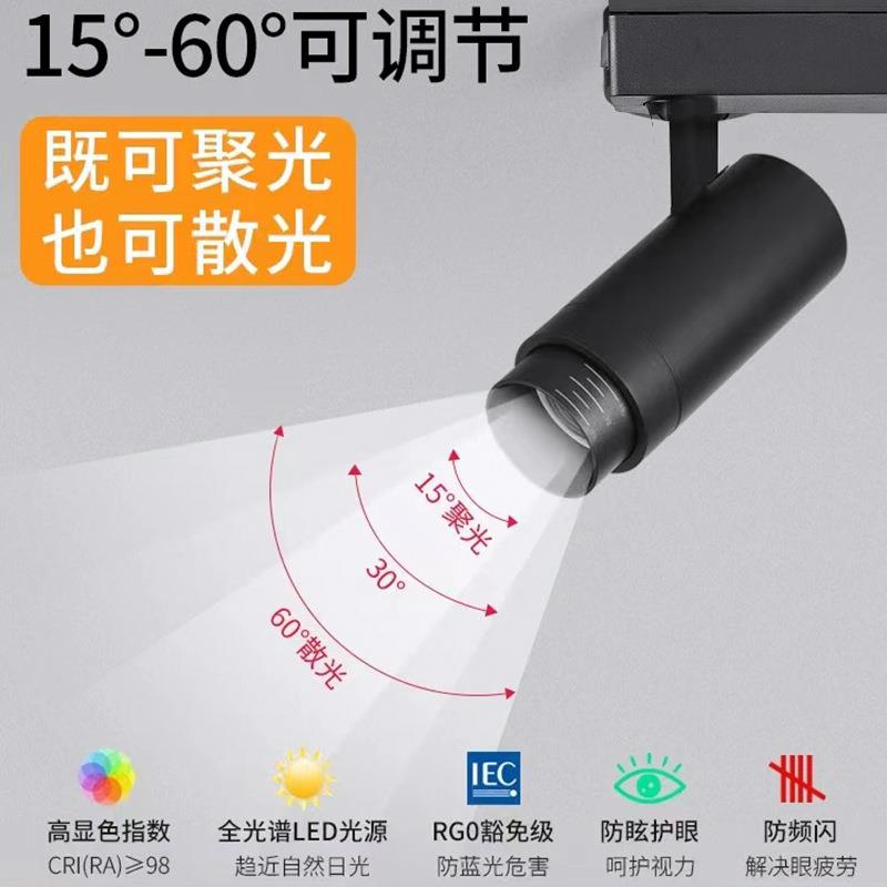 LED bold lamp double head single head double spotlight downlight black square grille embedded bean gall lamp home