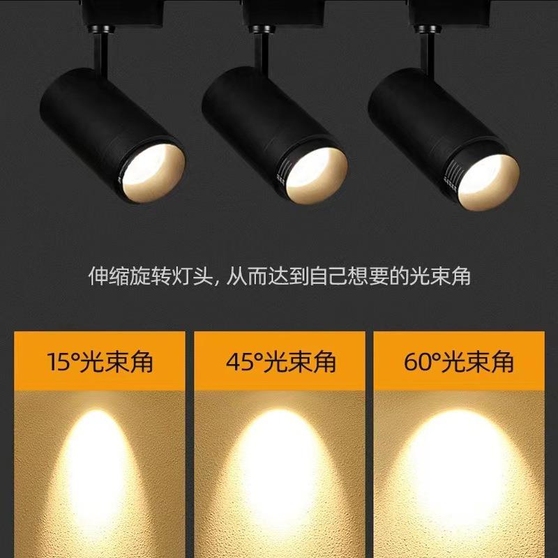 LED bold lamp double head single head double spotlight downlight black square grille embedded bean gall lamp home