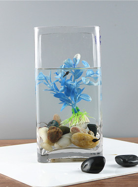 新品水培百合富贵竹小清新方形透明D玻璃花瓶客厅摆件插花干花瓶