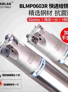 快进给双面铣刀杆BLMP0603R/TEBL06特固克 BLMP0603R刀片开粗铣面