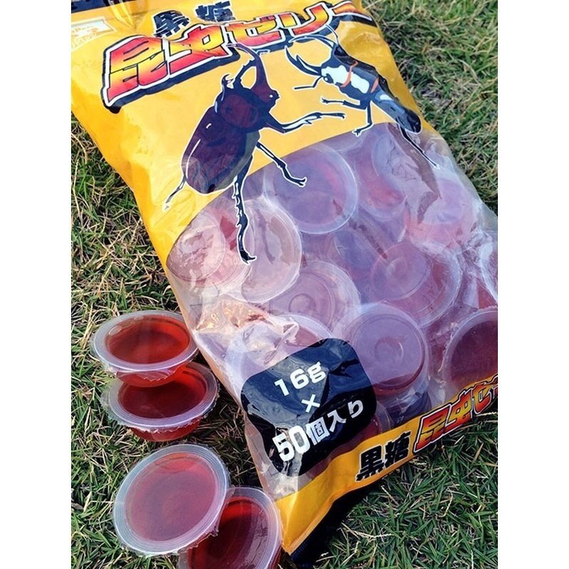 甲虫果冻独角仙锹甲饲料蛋白黑糖蚂蚁食物昆虫宠物成虫吃的带食台,淘宝优惠券,粉丝福利购,淘宝优惠卷