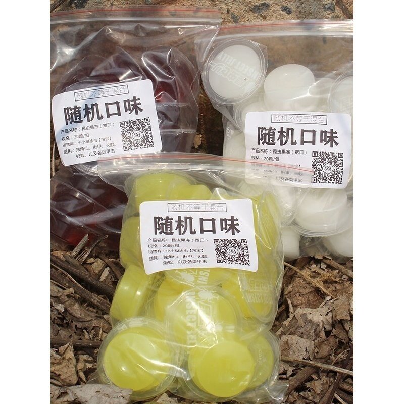 甲虫果冻独角仙锹甲饲料蛋白黑糖蚂蚁食物昆虫宠物成虫吃的带食台,淘宝优惠券,粉丝福利购,淘宝优惠卷