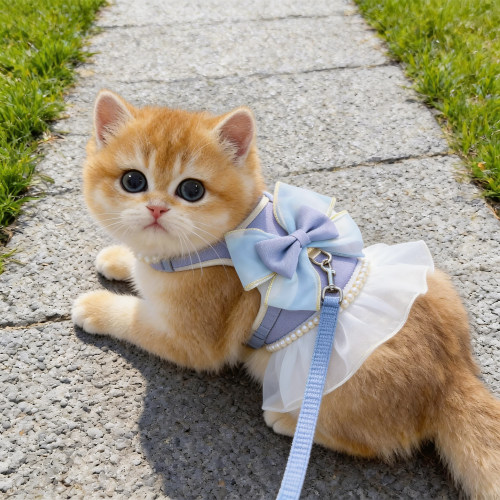 猫咪牵引绳蝴蝶结胸背防挣脱外出专用溜猫绳幼猫狗狗背心式可调节 - 图2