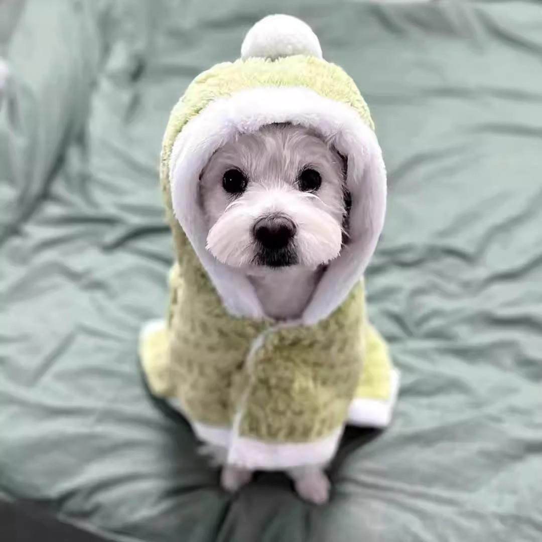 小狗狗衣服秋冬保暖披风睡觉加厚斗篷泰迪博美睡袍加绒毛毯,淘宝优惠券,粉丝福利购,淘宝优惠卷