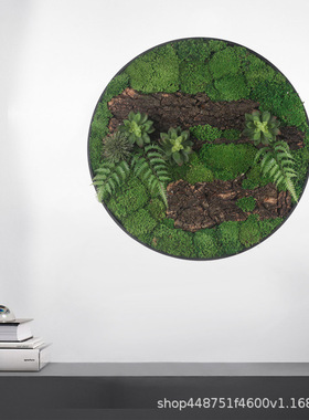 极速仿真植物装饰盆景仿真苔藓壁挂新中式挂饰Q墙面装饰样板房客