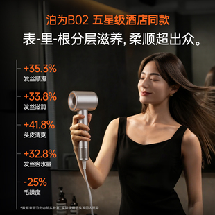 泊为B02高速等离子吹风机