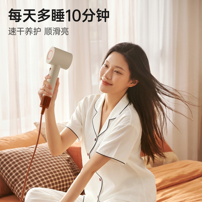 五星级酒店同款高速吹风机