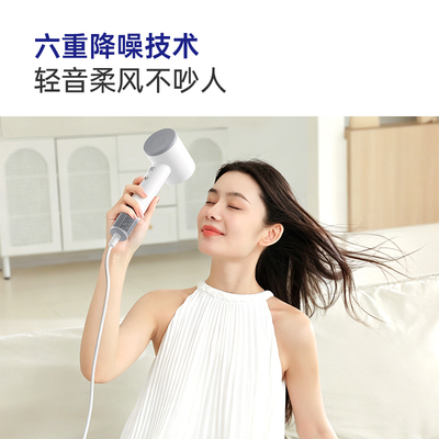 星级酒店同款恒温护发高速电吹风