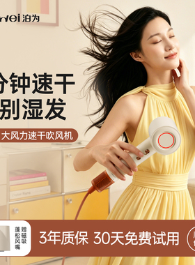 五星级酒店同款高速吹风机