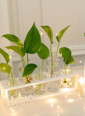 北欧风个性创意绿萝水培玻璃插花小花瓶办公室房间客厅装饰品摆件