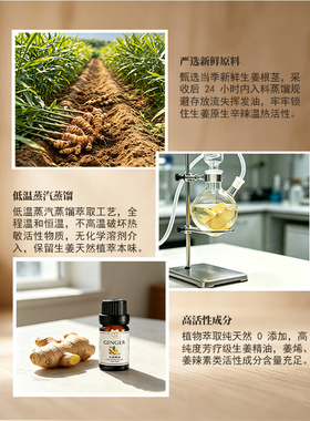 aromall生姜精油10ml单方精油