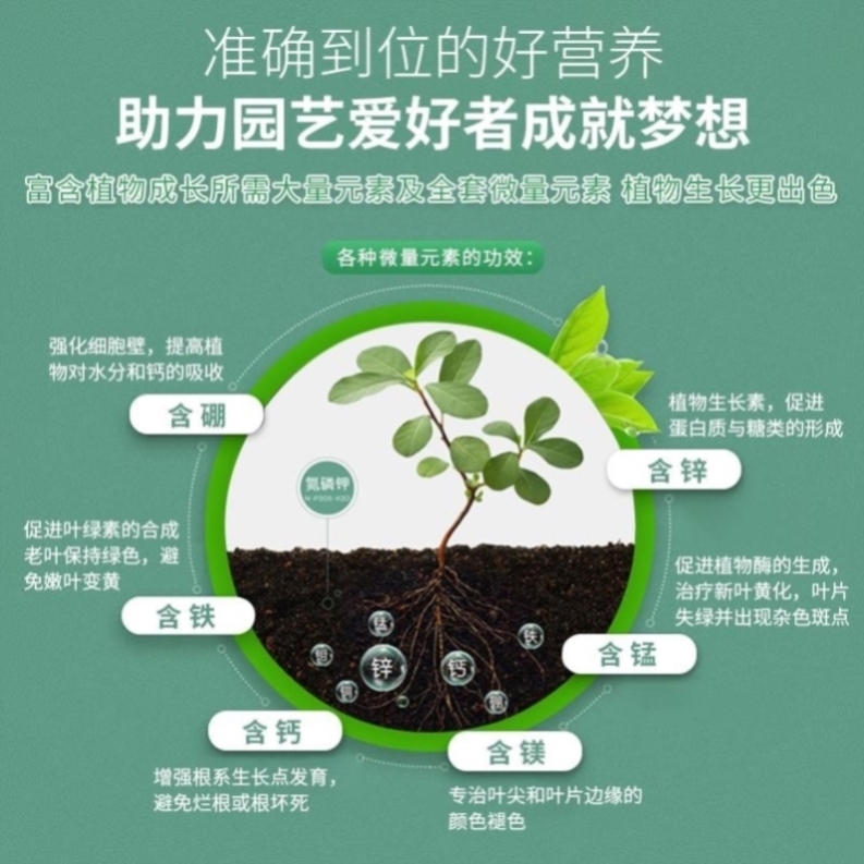 大蒜专用肥菜地肥料瓜果肥种植肥家庭不烧根不烧苗大蒜专用土室内 - 图2