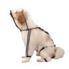 Dog four-legged waterproof all-inclusive transparent raincoat