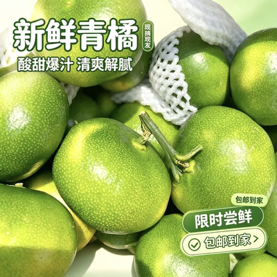 湖南石门秀坪特早青皮蜜桔现摘无籽桔子当季孕妇水果酸甜蜜橘-1