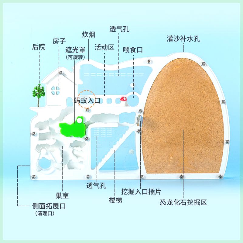 恐龙观察蚂蚁城堡窝盒子屋宠物工坊生态箱沙巢饲养盒繁殖版送蚁后-图0