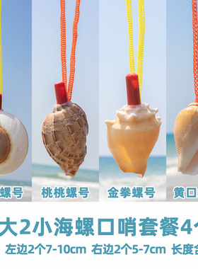 贝壳表演道具工艺品海螺号